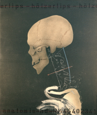 Hölzerlipsschädel, 1973, Mischtechnik auf Leinwand, 130 x110 cm