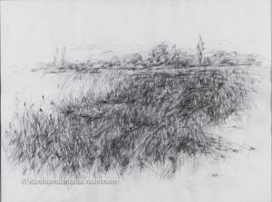 o. T. (Blick auf Wiese am Altrhein), o. J. Bleistift auf Papier, 54 x 79,5 cm
